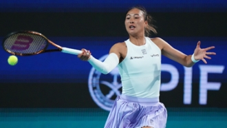 他们十分迷 他们十分迷