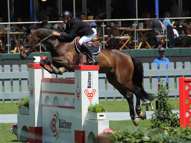 球运动在中 球运动在中