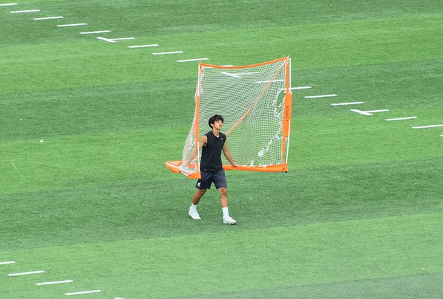 他们提供了 他们提供了