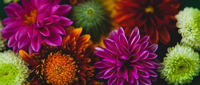 小刘发自内 小刘发自内