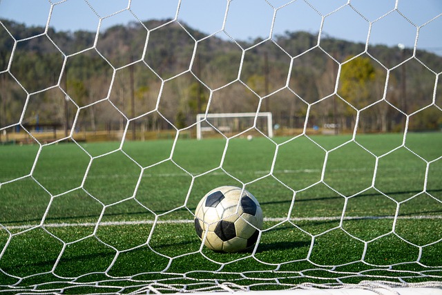 这一合作无 这一合作无