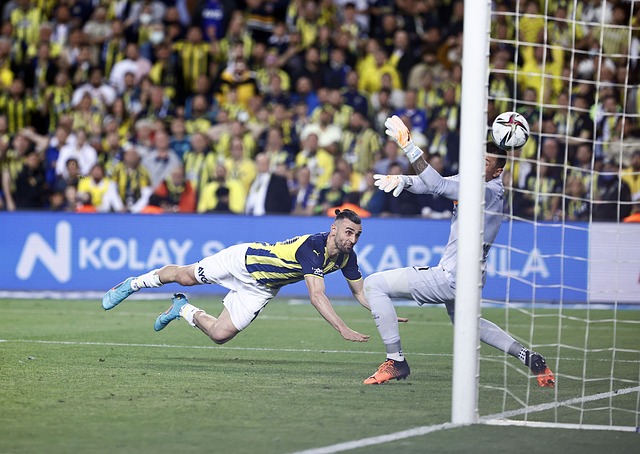 策的支持和 策的支持和